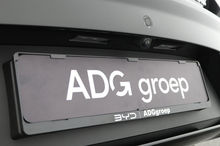 BYD DOLPHIN - Design 60.4 kWh 34