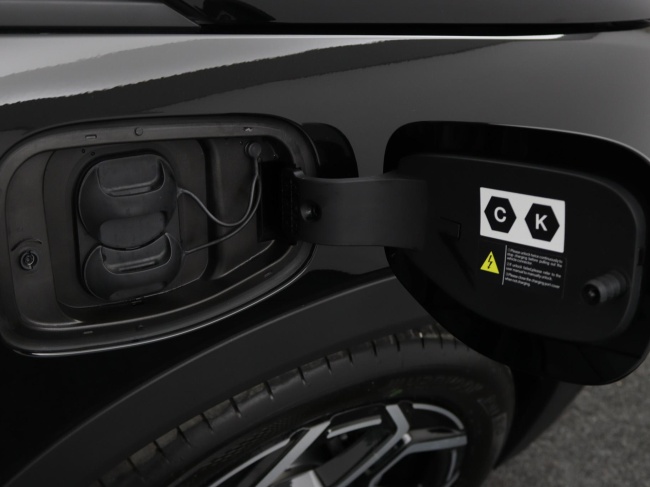 BYD DOLPHIN - Design 60.4 kWh