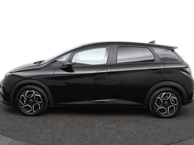 BYD DOLPHIN - Design 60.4 kWh