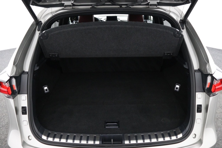 Lexus NX - 300h AWD F Sport Line 23