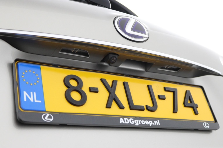 Lexus NX - 300h AWD F Sport Line 42