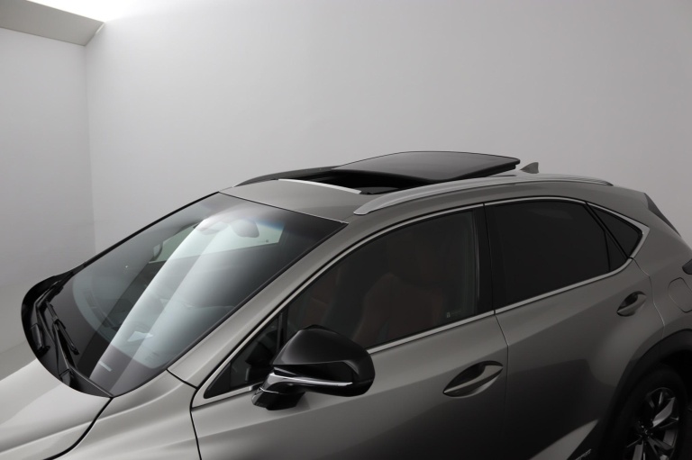 Lexus NX - 300h AWD F Sport Line 44