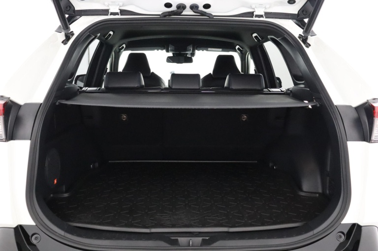 Toyota RAV4 - 2.5 Hybrid Style 22