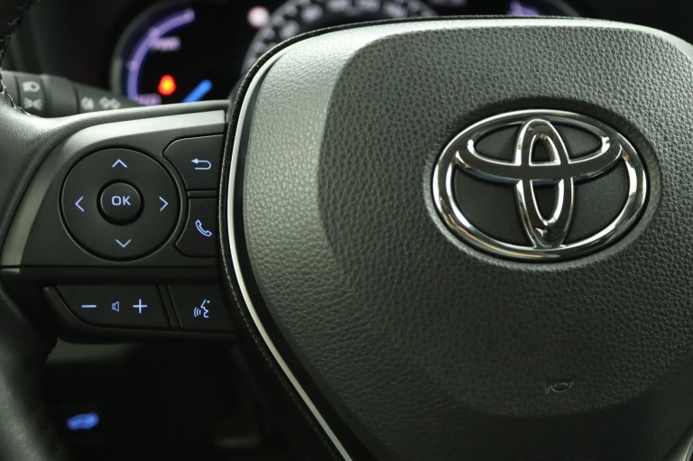 Toyota RAV4 - 2.5 Hybrid Executive 19