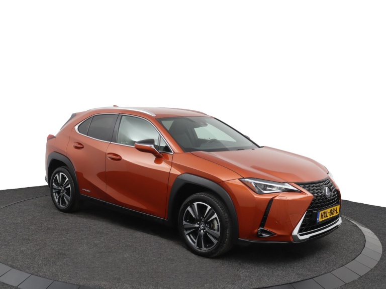 Lexus UX - 250h Business Line 13
