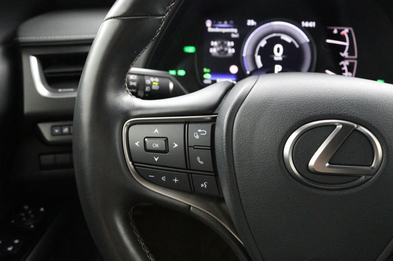Lexus UX - 250h Business Line 18