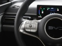 BYD DOLPHIN SURF