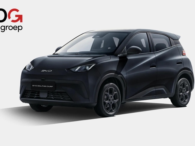 BYD DOLPHIN SURF