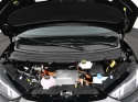 BYD DOLPHIN SURF