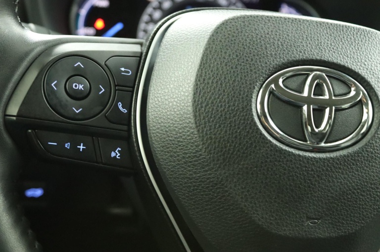 Toyota RAV4 - 2.5 Hybrid AWD Executive 19