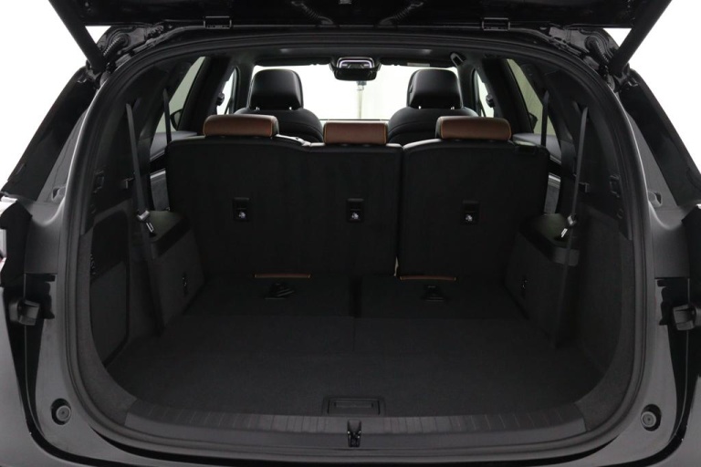 BYD TANG - AWD Executive 86 kWh 17