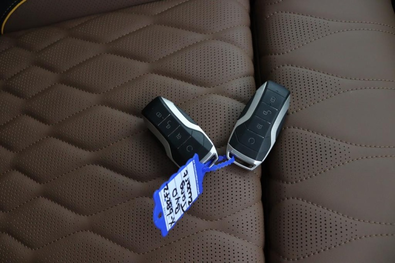 BYD TANG - AWD Executive 86 kWh 41