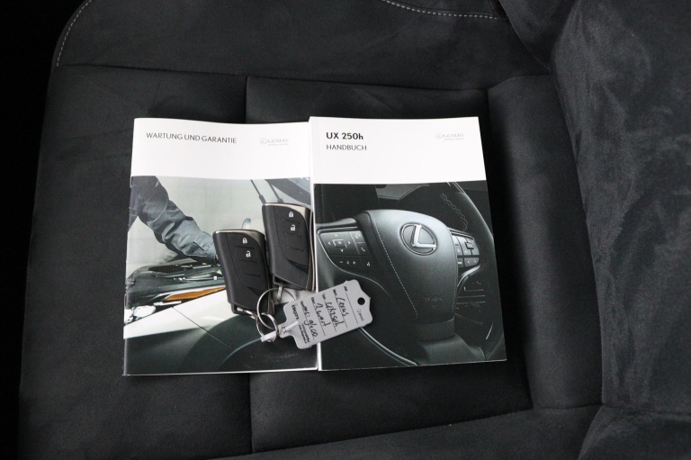 Lexus UX - 250h Business Line 11