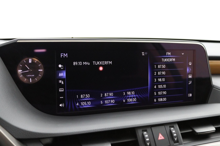 Lexus ES - 300h President Line 8
