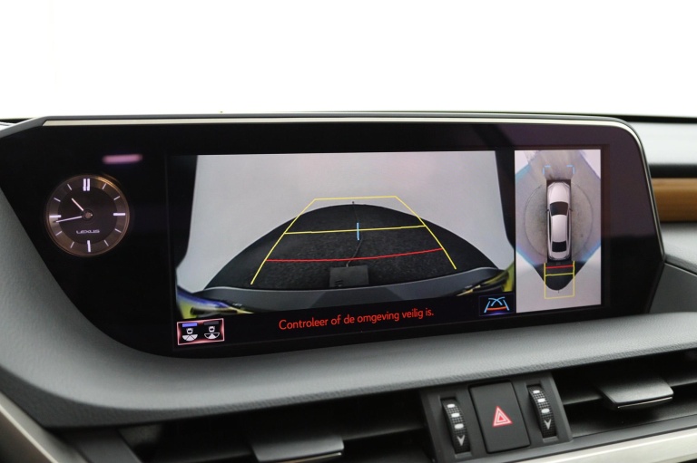 Lexus ES - 300h President Line 9