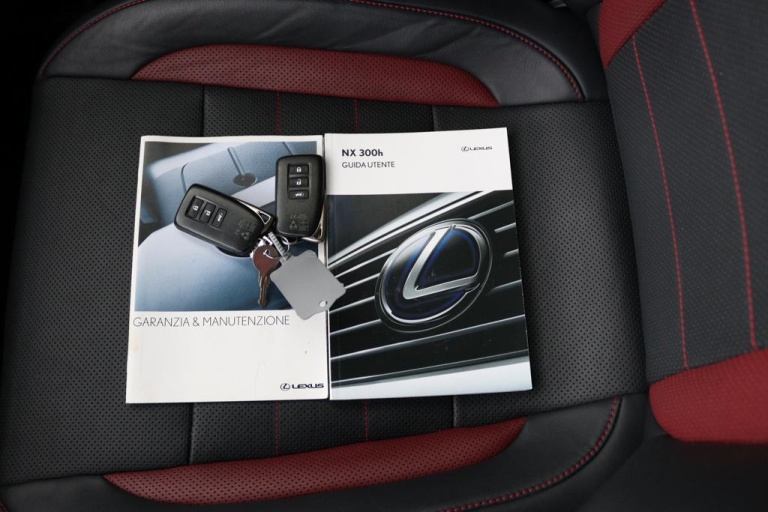 Lexus NX - 300h AWD F Sport Line 10