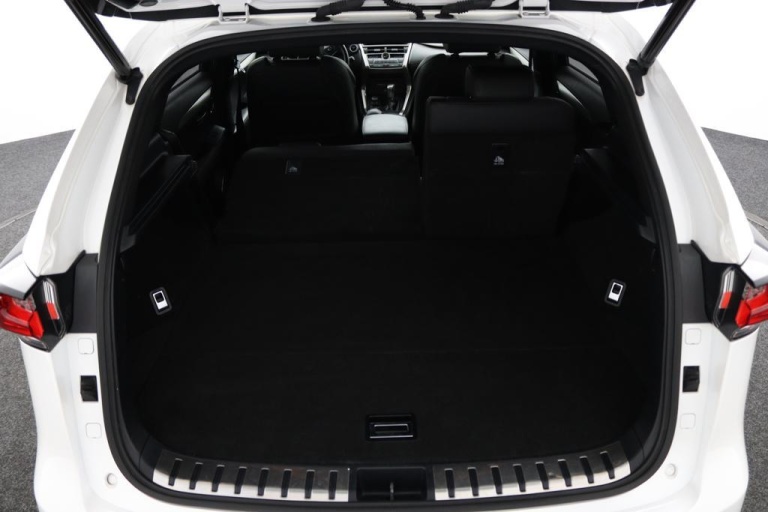 Lexus NX - 300h AWD F Sport Line 24