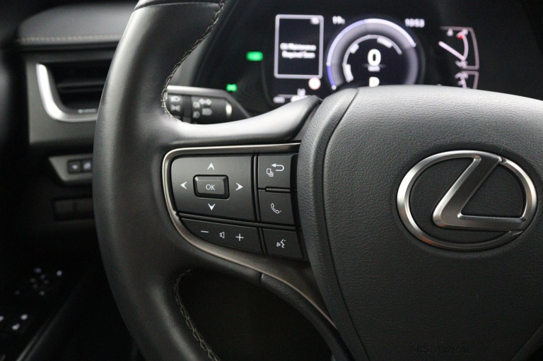 Lexus UX - 250h Preference Line 19