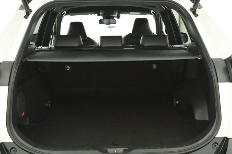 Toyota RAV4 - 2.5 Hybrid AWD Bi-Tone 23