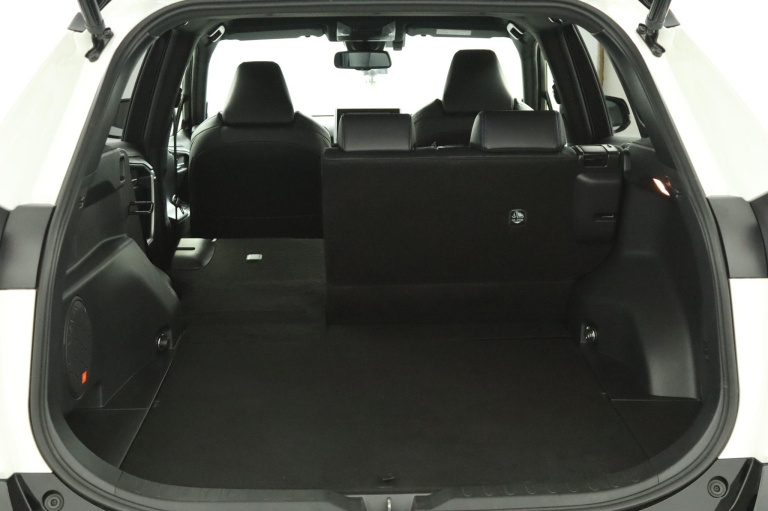 Toyota RAV4 - 2.5 Hybrid AWD Bi-Tone 25