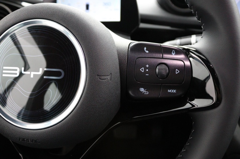 BYD DOLPHIN - Design 60.4 kWh 12