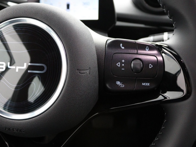 BYD DOLPHIN - Design 60.4 kWh