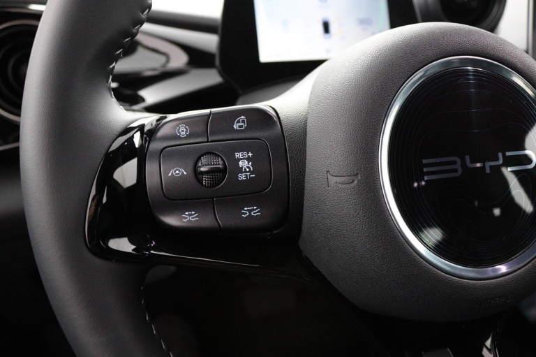 BYD DOLPHIN - Design 60.4 kWh 13