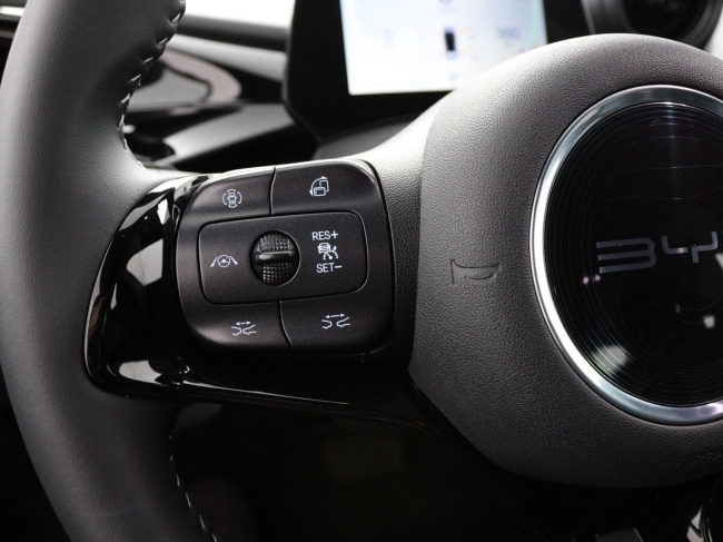 BYD DOLPHIN - Design 60.4 kWh