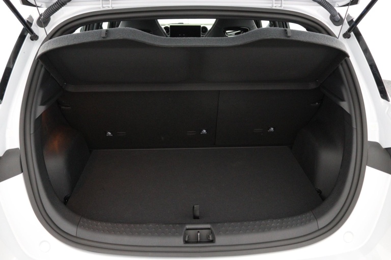 BYD DOLPHIN - Design 60.4 kWh 15