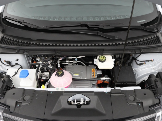 BYD DOLPHIN - Design 60.4 kWh