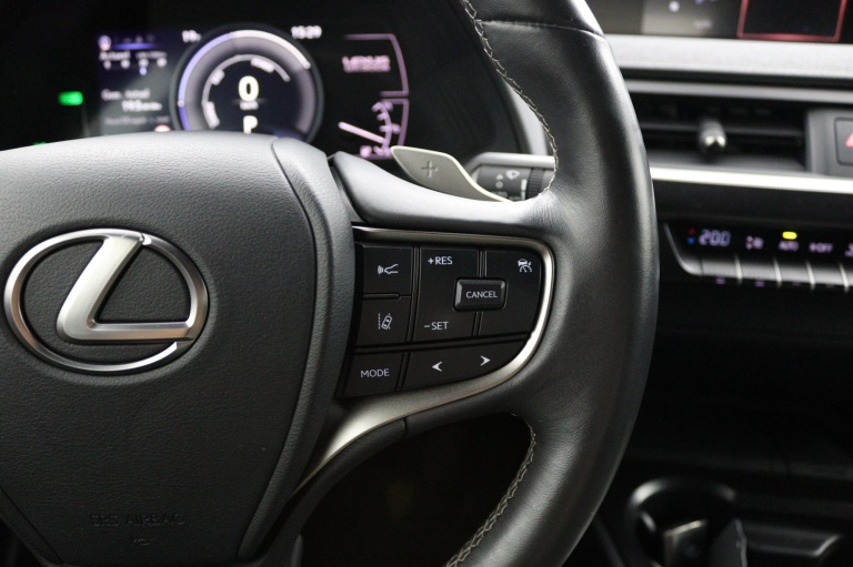 Lexus UX - 300e Business 54 kWh 19