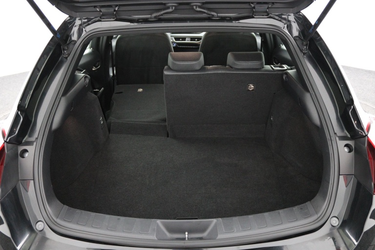 Lexus UX - 300e Business 54 kWh 23