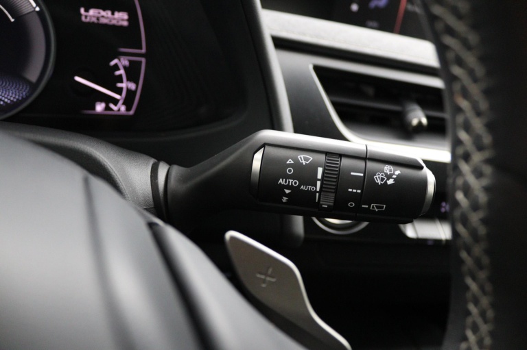 Lexus UX - 300e Business 54 kWh 29