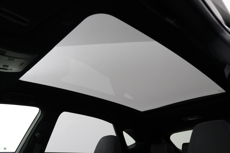 Lexus NX - 300h AWD F F SPORT Line 51