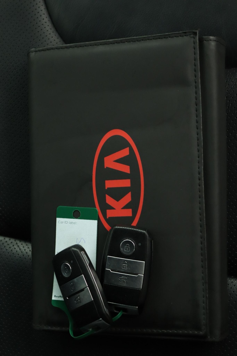 Kia Niro - 1.6 GDi Hybrid ExecutiveLine 14