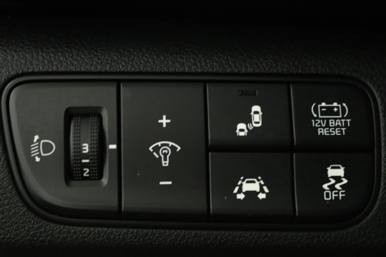 Kia Niro - 1.6 GDi Hybrid ExecutiveLine 31