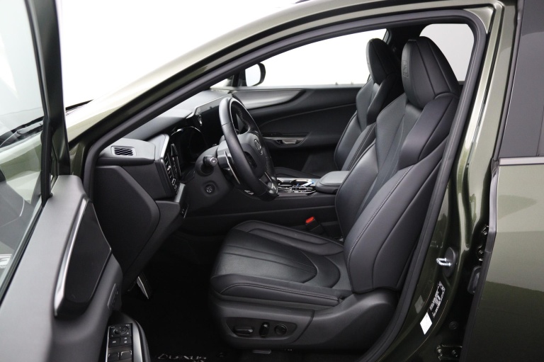 Lexus NX - 450h+ AWD F SPORT Line 17