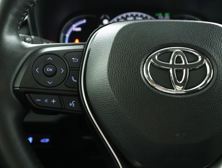 Toyota RAV4 - 2.5 Hybrid AWD Executive 19