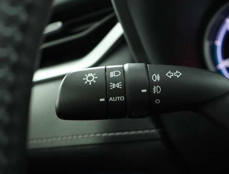 Toyota RAV4 - 2.5 Hybrid AWD Executive 32