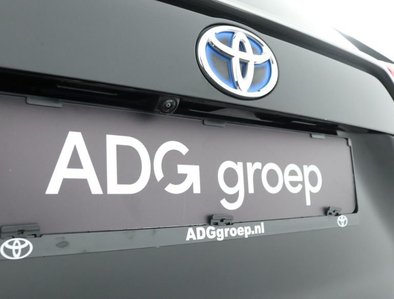 Toyota RAV4 - 2.5 Hybrid AWD Executive 46