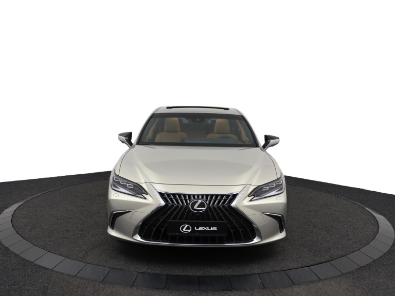 Lexus ES - 300h President Line 14