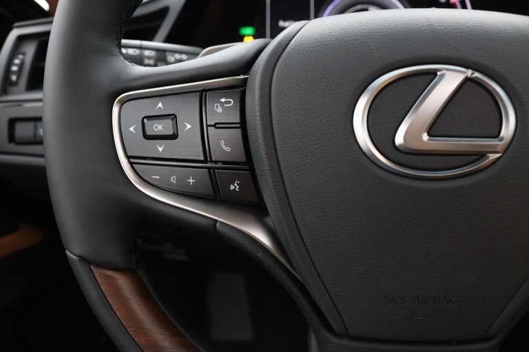 Lexus ES - 300h President Line 18
