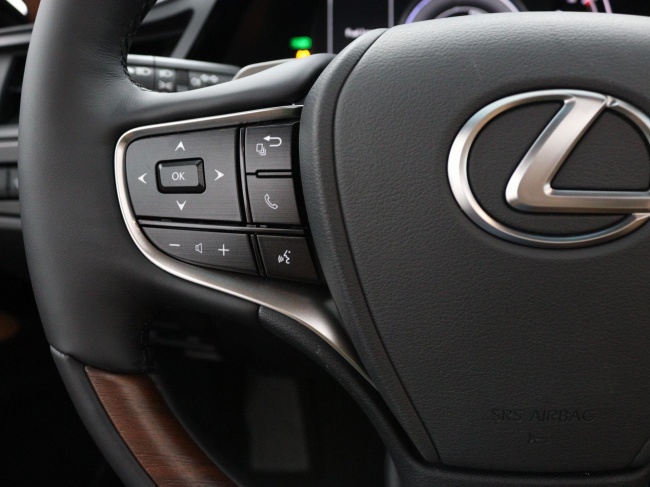 Lexus ES - 300h President Line