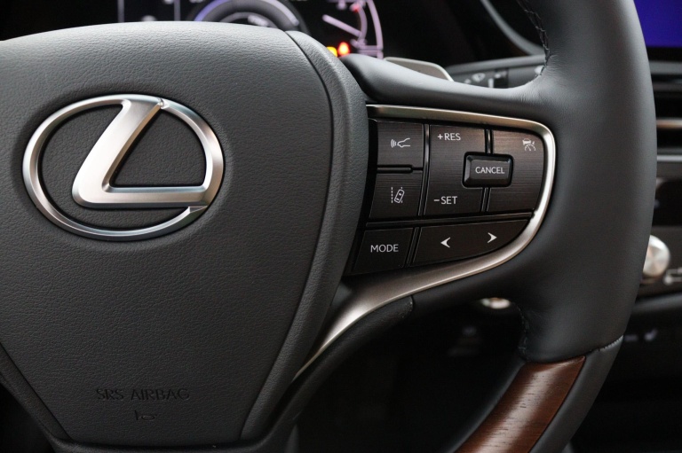 Lexus ES - 300h President Line 19