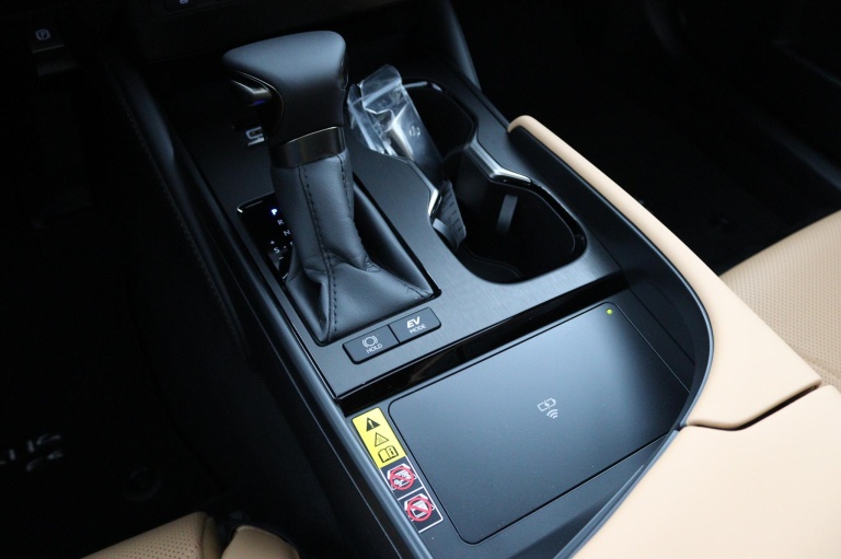Lexus ES - 300h President Line 23