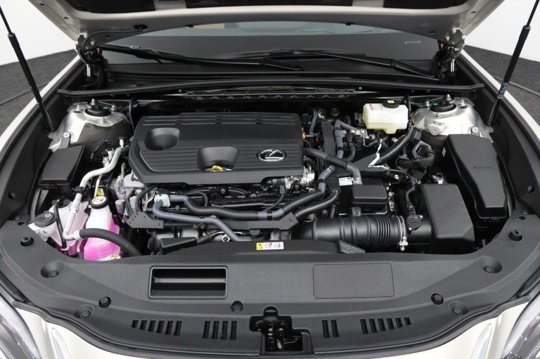 Lexus ES - 300h President Line 30