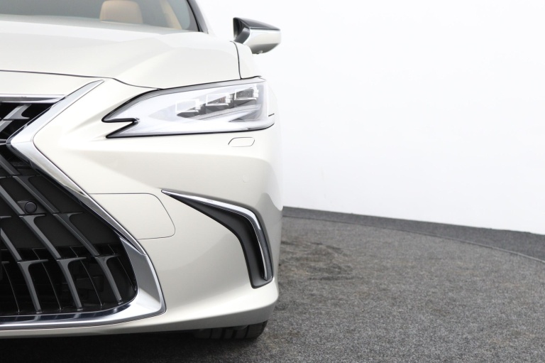 Lexus ES - 300h President Line 31