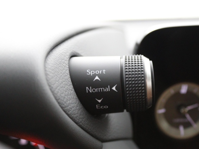 Lexus ES - 300h President Line