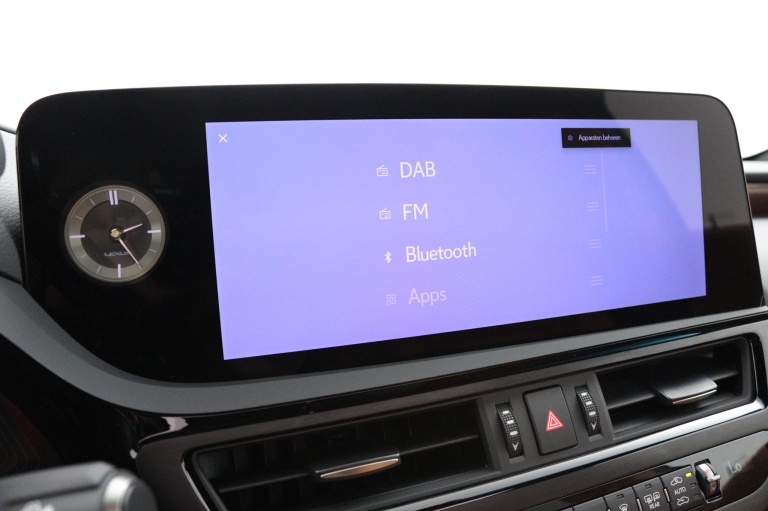Lexus ES - 300h President Line 45