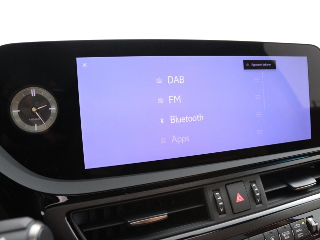 Lexus ES - 300h President Line